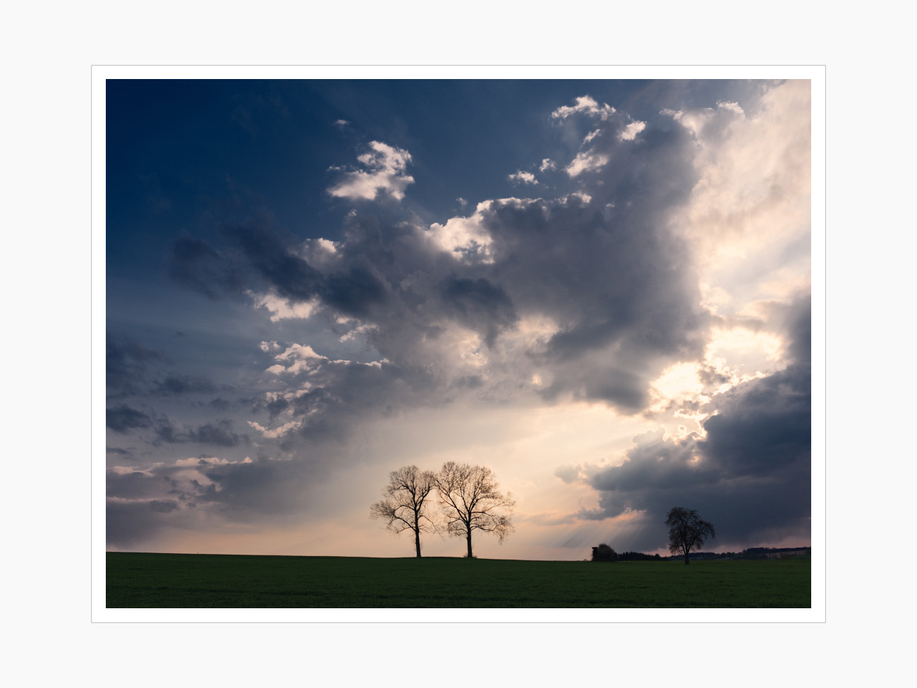 Max Schiefele Alle Bilder  DSF5819